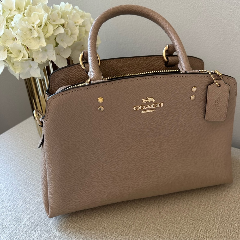 Coach Mini Darcie Caryall